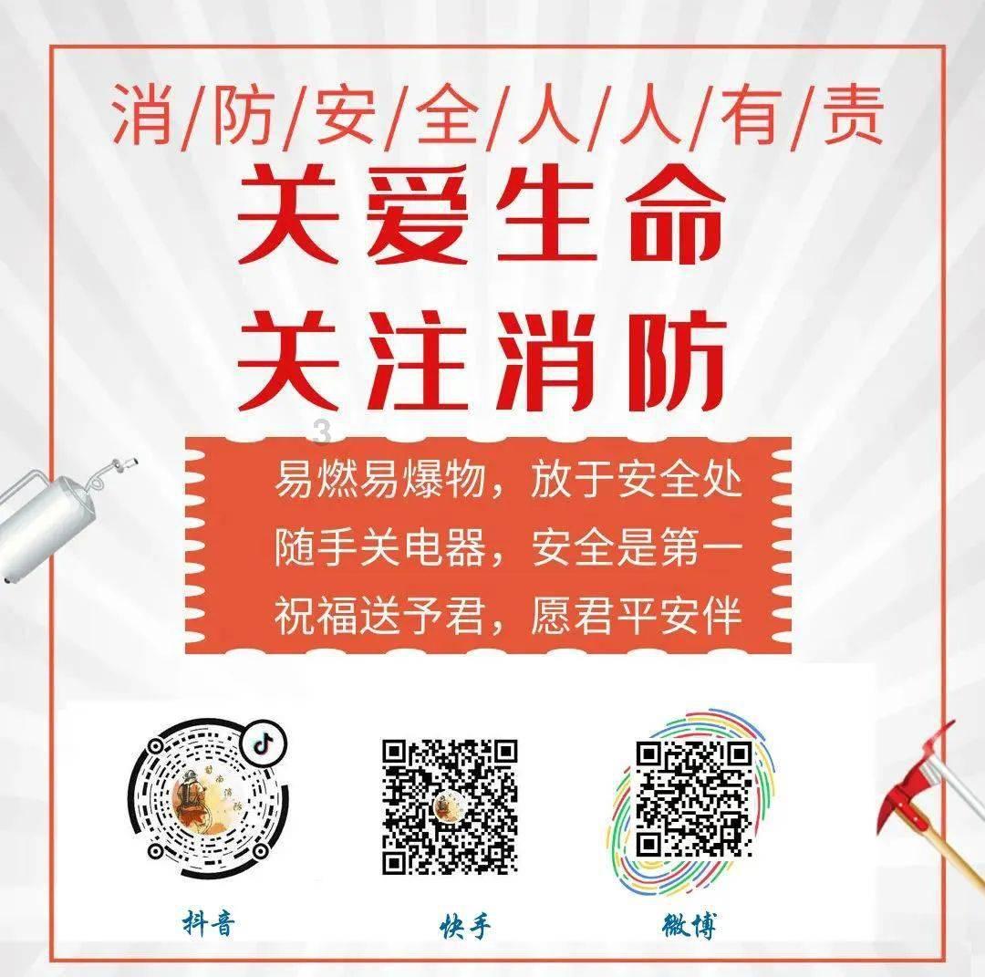 空洞骑士